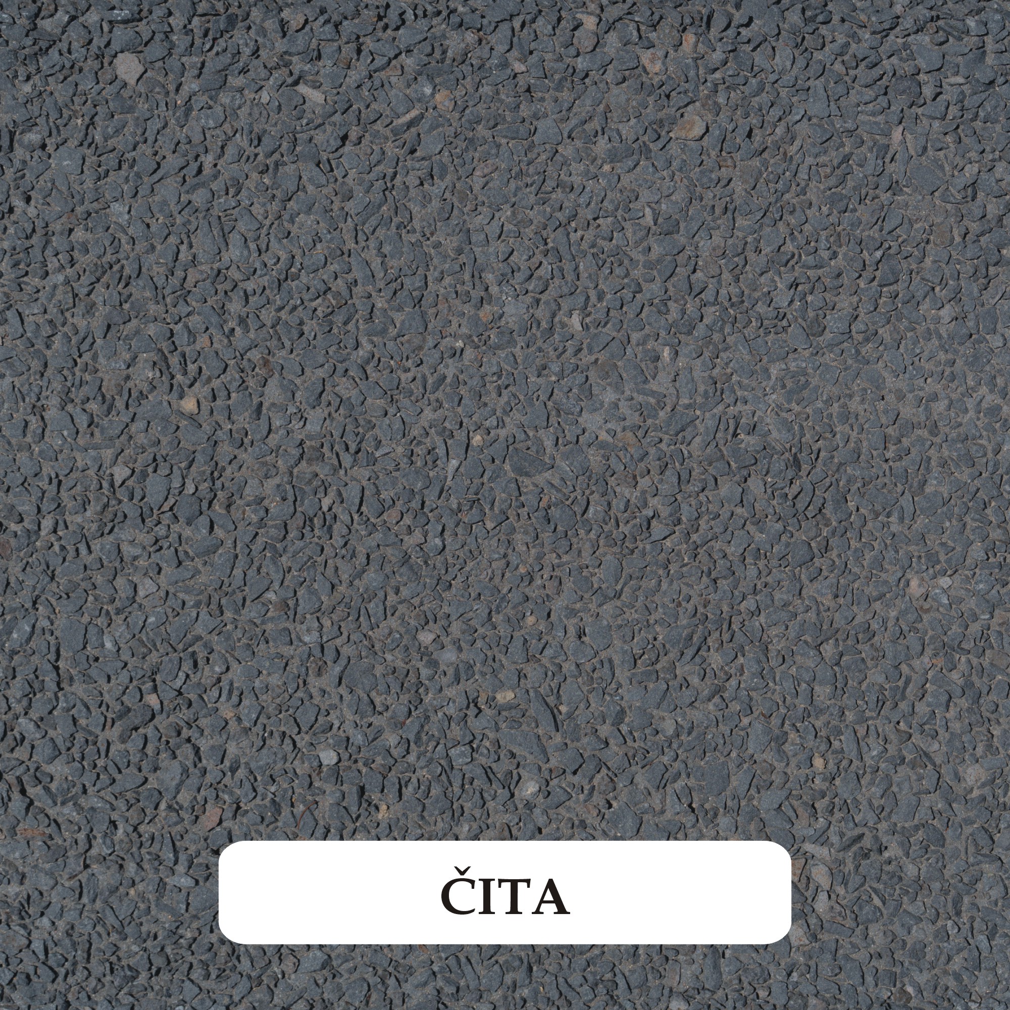 Čita